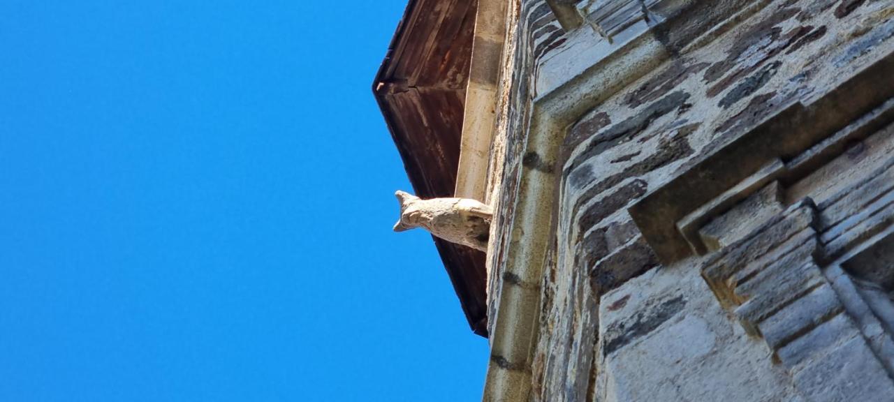 Maison Au Loup - Superbe Ancien Hotel Particulier Du Xvie Siecle Au Coeur De La Vieille Ville Du Puy Le Puy-en-Velay Kültér fotó